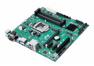 ASUS PRIME B250M-C (1151) Motherboard INTEL Support